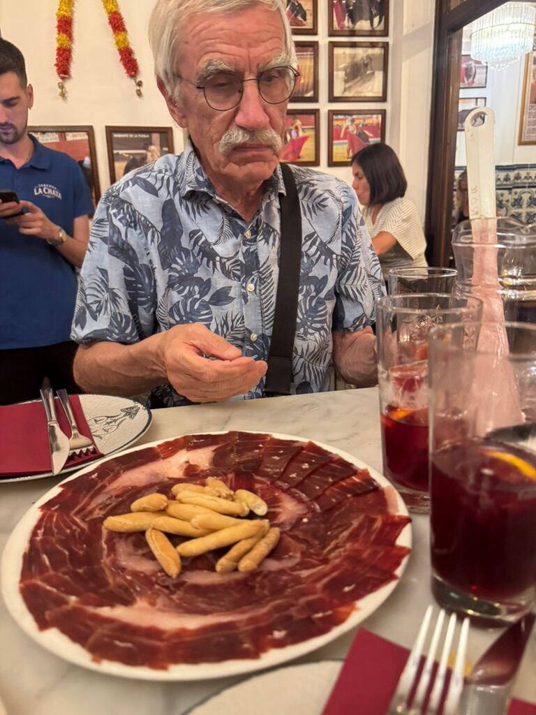Teller mit Jam&oacute;n ib&eacute;rico und Brotstangen